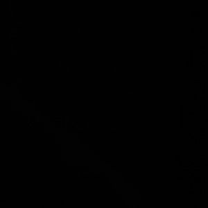 Meet your Posher, Corey